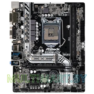 Материнская плата ASRock B250M-HDV